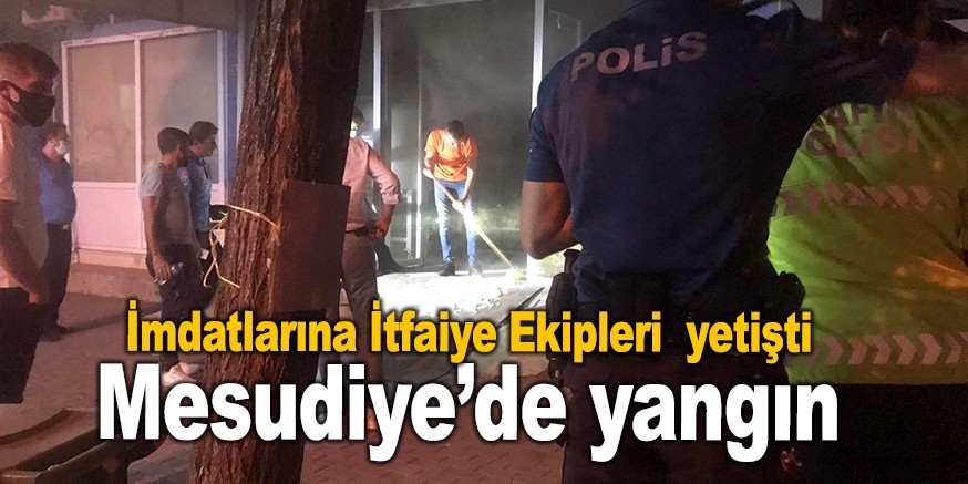 Mesudiye’de yangın