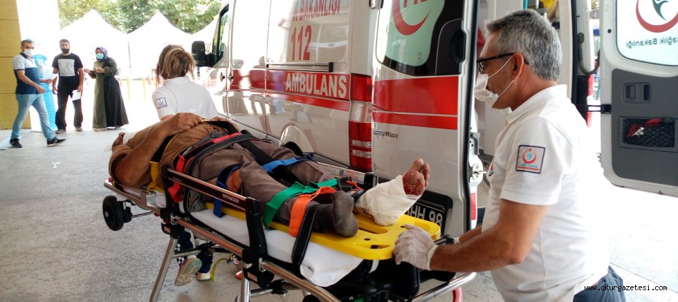 Üzerine tomruk düşen adam yaralandı