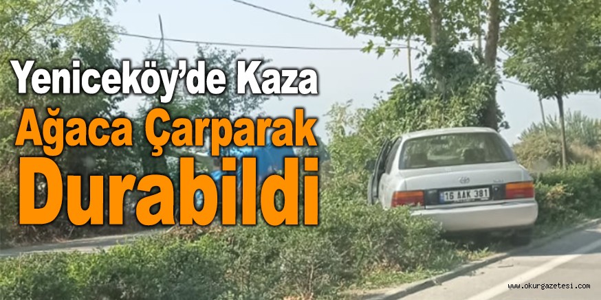 Ağaca çarparak durabildi