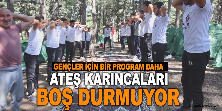 ATEŞ KARINCALARI BOŞ DURMUYOR