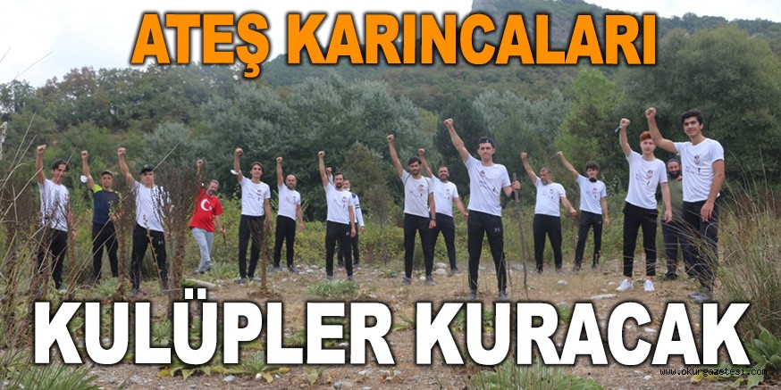 ATEŞ KARINCALARI KULÜPLER KURACAK