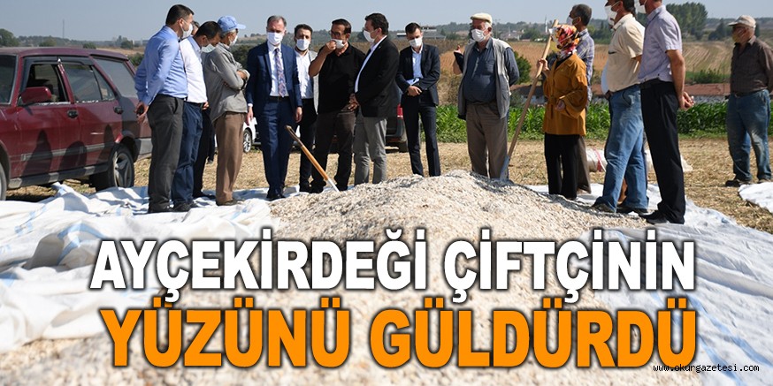AYÇEKİRDEĞİ ÇİFTÇİNİN YÜZÜNÜ GÜLDÜRDÜ
