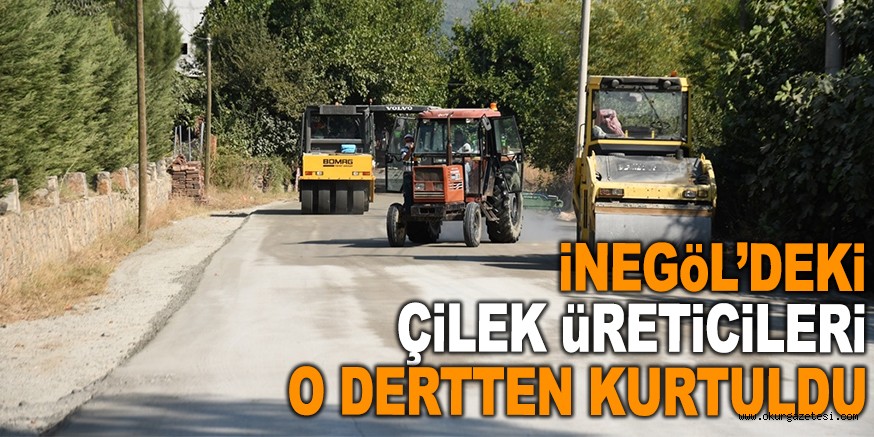 ÇİLEK ÜRETİCİLERİ O DERTTEN KURTULDU