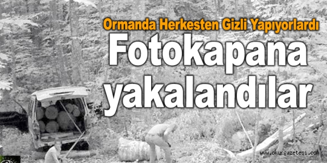 FOTOKAPANLARA YAKALANDILAR