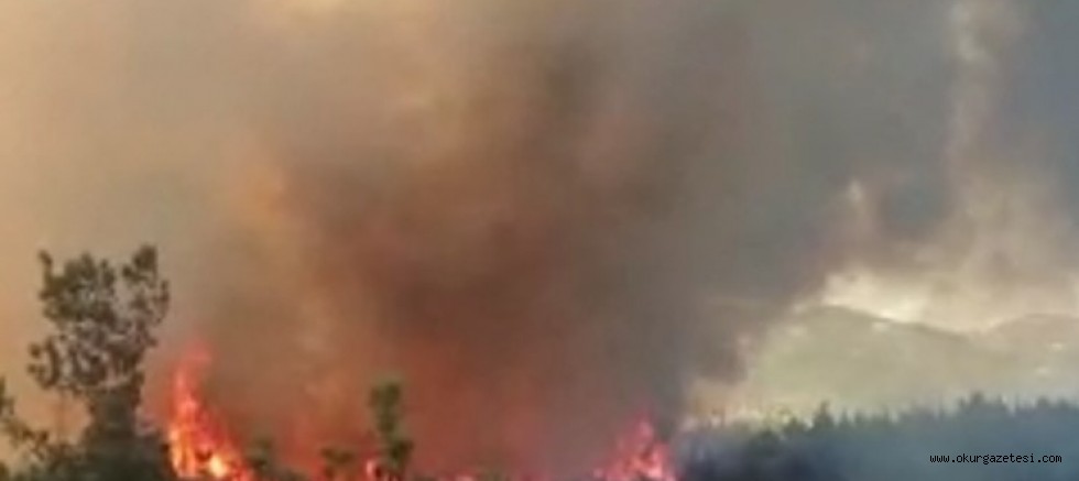 İNEGÖL’E GİRİŞTE ORMAN YANGINI