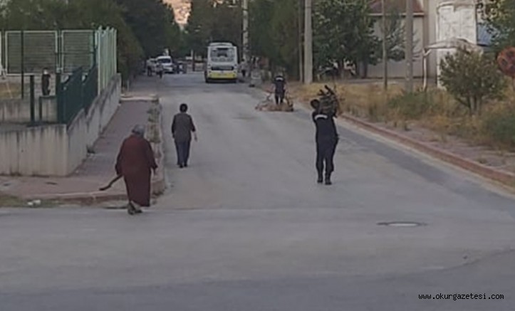 Jandarma odun taşıyan yaşlı kadına yardım etti