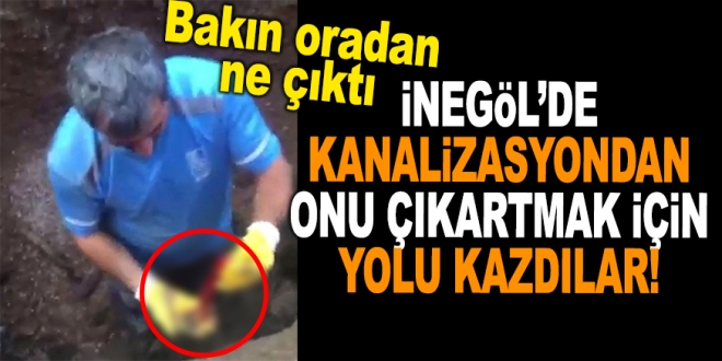 KANALİZASYONDAN ONU ÇIKARTMAK İÇİN YOLU KAZDILAR !