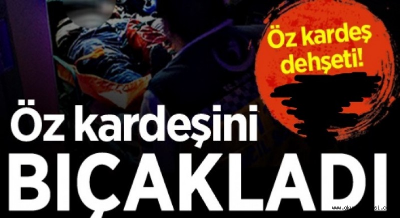 KARDEŞLERİN KAVGASINDA KAN AKTI