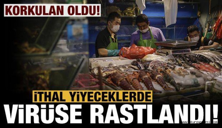 Korkulan oldu: Yiyeceklerde koronavirüse rastlandı
