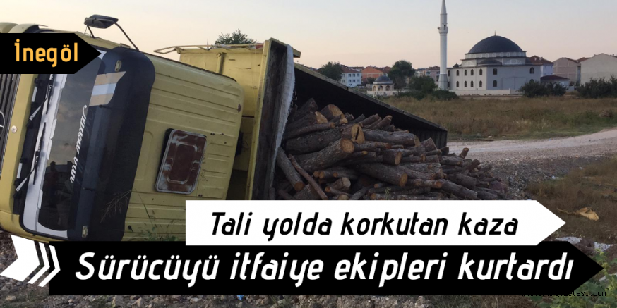 Odun yüklü kamyon şarampole devrildi