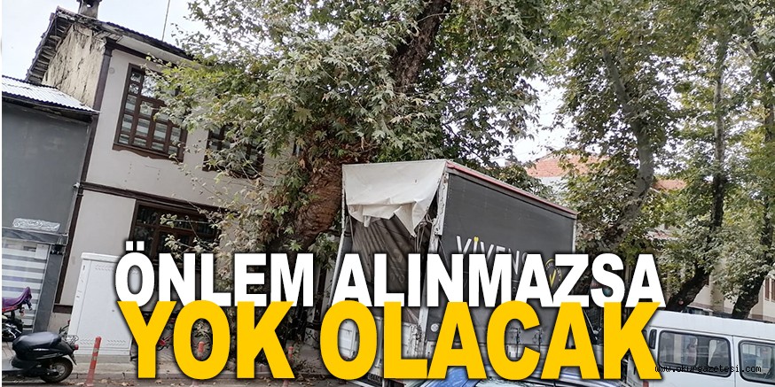 ÖNLEM ALINMAZSA YOK OLACAK