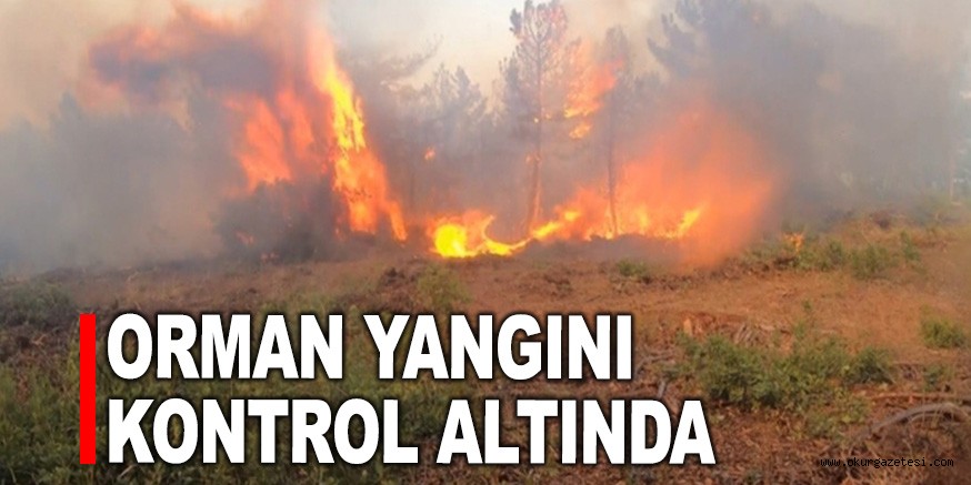 ORMAN YANGINI KONTROL ALTINDA