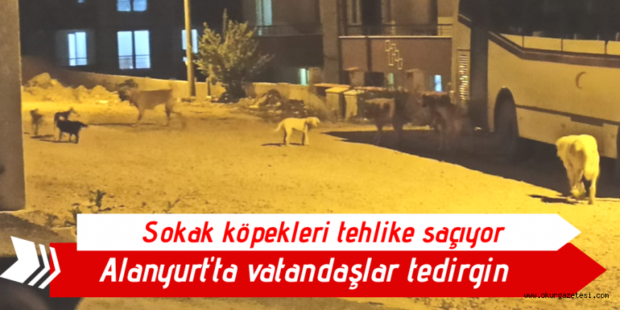 Alanyurtta vatandaşlar tedirgin