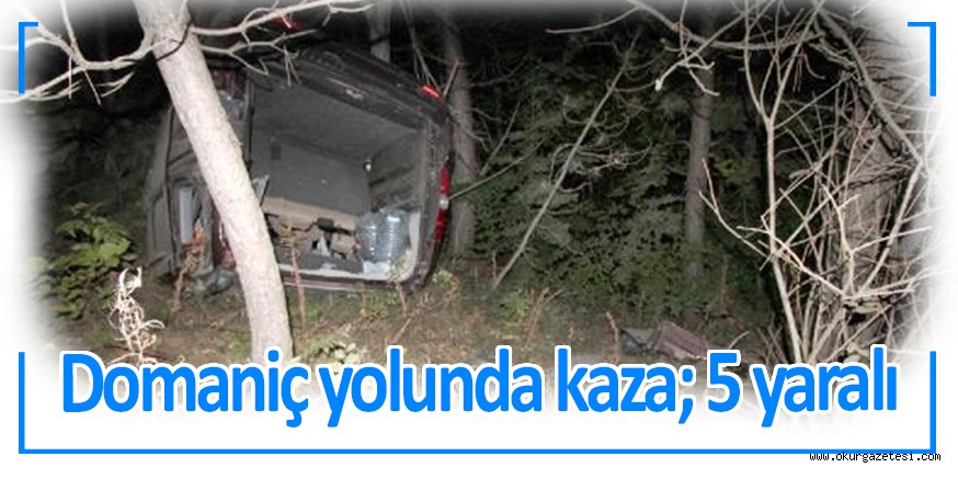 Domaniç yolunda kaza; 5 yaralı