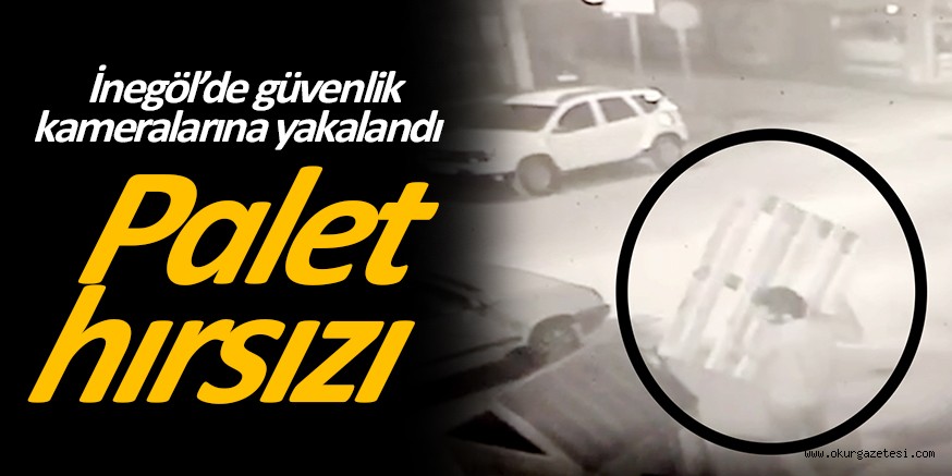 Palet hırsızı güvenlik kameralarına yakalandı