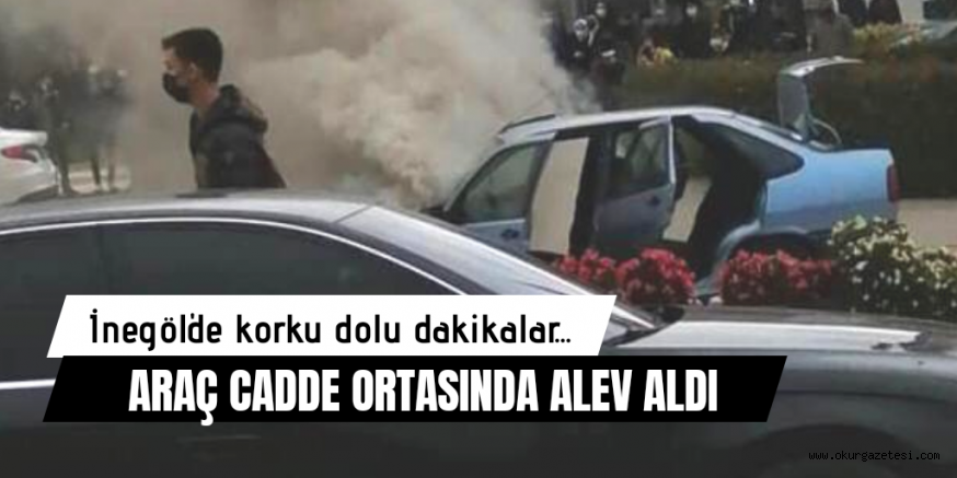 ARAÇ ALEV ALEV YANDI