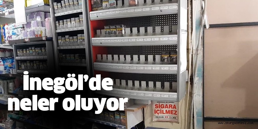 Güvenlik kameralarına yakalandı Hırsızın rahat tavırları