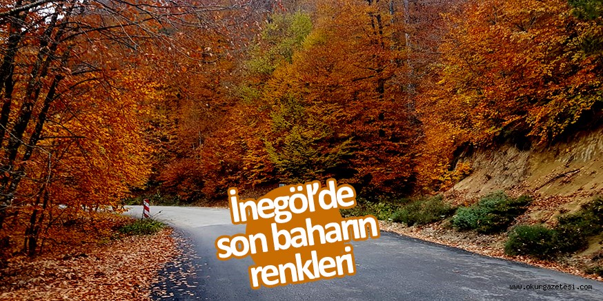 İnegöl’de son baharın renkleri