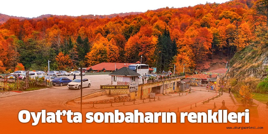 OYLAT’TA SONBAHARIN RENKLERi