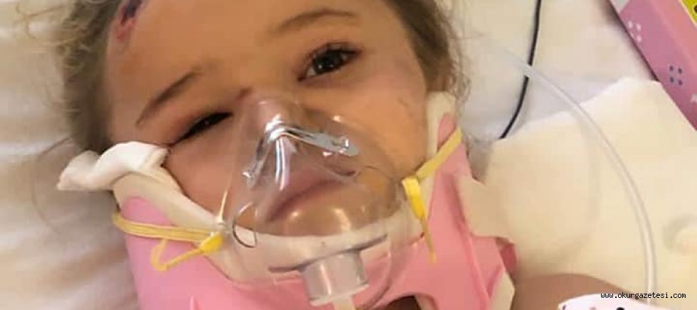 Tüm ülkeye el salladı…