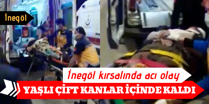 Yaşlı çift kanlar içinde kaldı