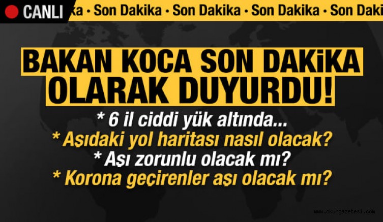 Bakan Fahrettin Koca son dakika duyurdu: 6 il ciddi yük altında!