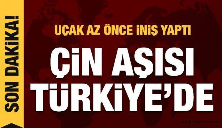 Çin aşısını taşıyan uçak İstanbul’a indi