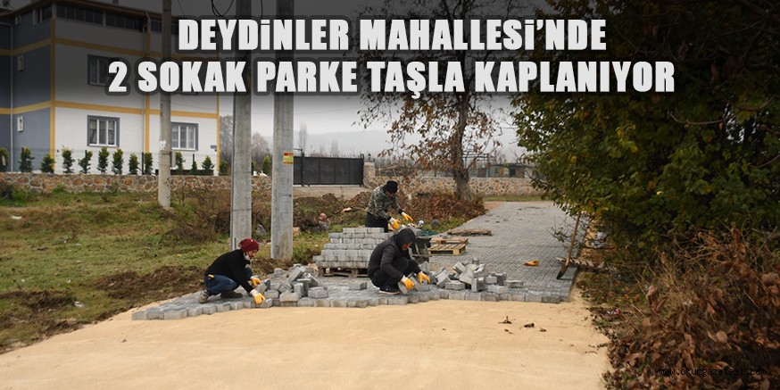 DEYDiNLER MAHALLESi’NDE  2 SOKAK PARKE TAŞLA KAPLANIYOR