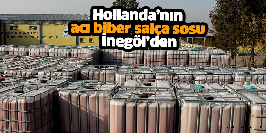 Hollanda’nın acı biber salça sosu İnegöl’den