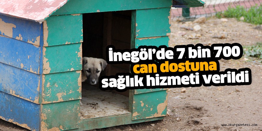 İnegöl’de 7 bin 700 can dostuna  sağlık hizmeti verildi