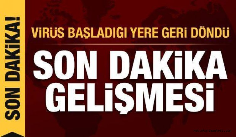 Koronavirüs başladığı yere geri döndü! Yeni mutasyon 29 ülkeye yayıldı