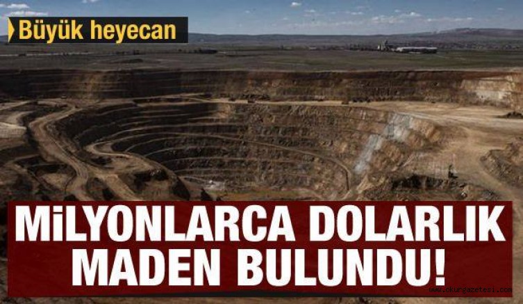 Söğütte milyonlarca dolarlık maden bulundu