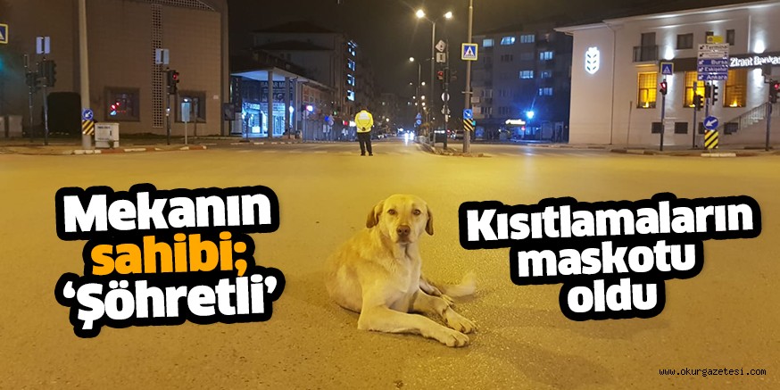 ‘Şöhretli’nin ezilmemesi için polisler nöbet tuttu