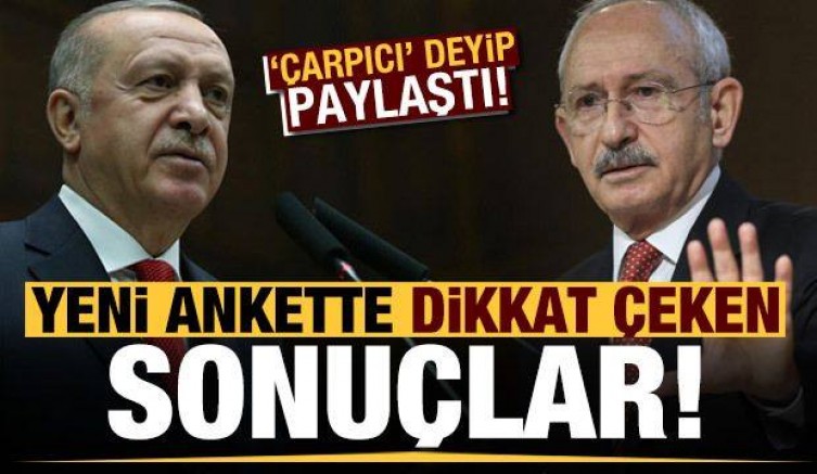 Yeni ankette dikkat çeken sonuçlar! ‘Çarpıcı’ deyip paylaştı…