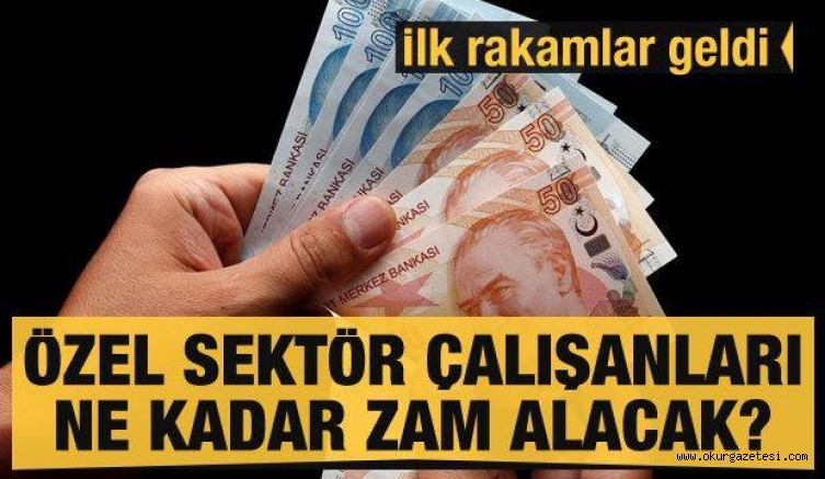 Özel sektör çalışanlar ne kadar zam alacak? İlk açıklamalar geldi