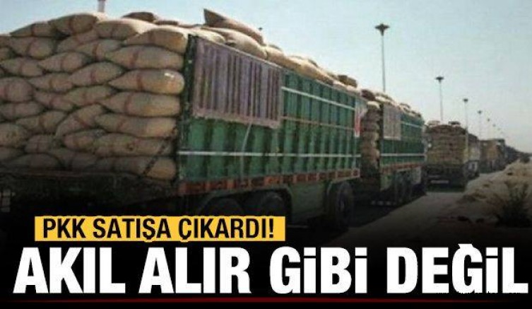 PKK’nın buğday hattı