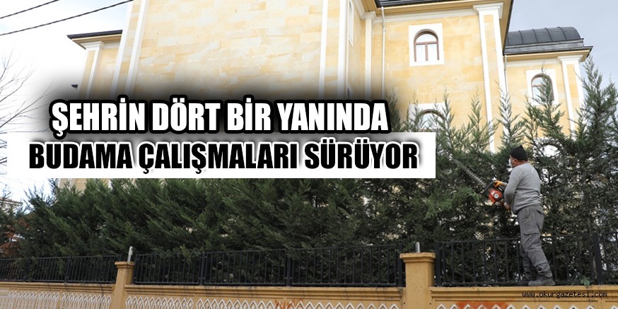 ŞEHRİN DÖRT BİR YANINDA BUDAMA ÇALIŞMALARI SÜRÜYOR