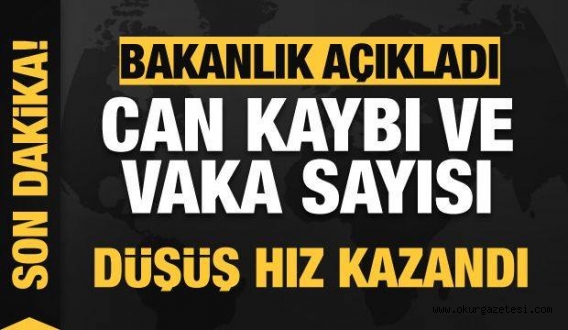 Son dakika: 17 Ocak koronavirüs tablosu! Vaka, Hasta, ölü sayısı ve son durum açıklandı