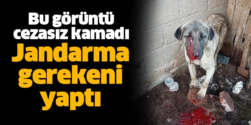 Bu görüntü cezasız kalmadı