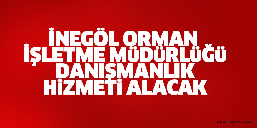 Danışmanlık hizmeti alınacak