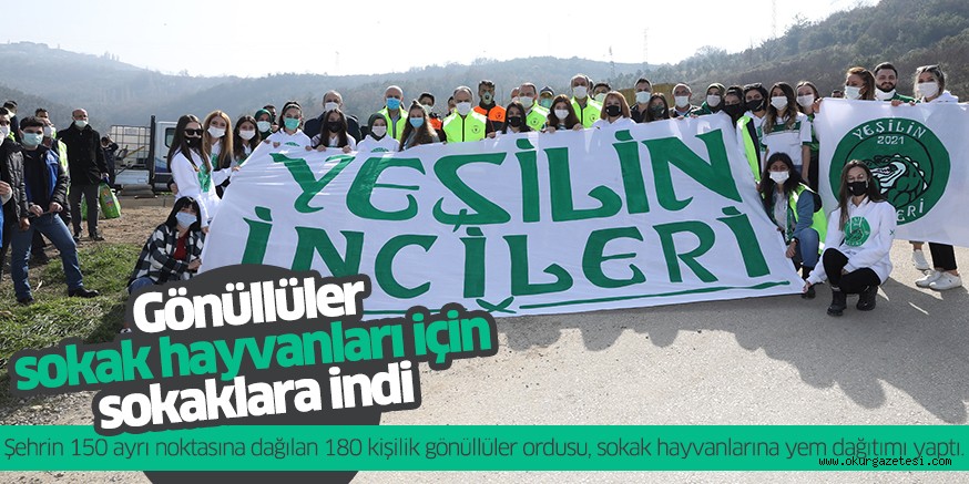 Gönüllüler sokak hayvanları için sokaklara indi