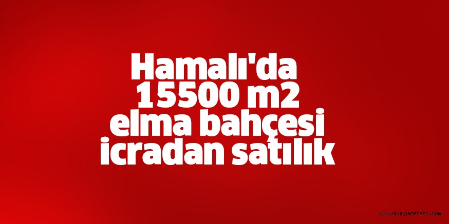 Hamamlı’da icradan satılık elma bahçesi