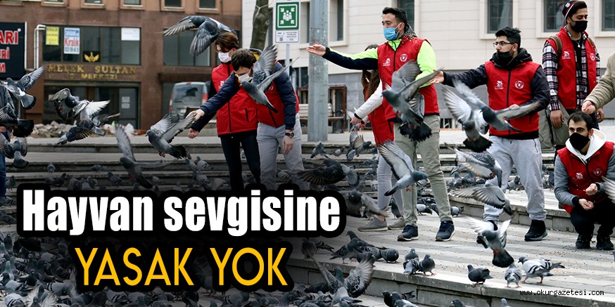 Hayvan sevgisine yasak yok