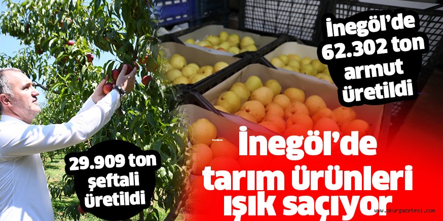 İNEGÖL TARIMI  ÖRNEK OLACAK