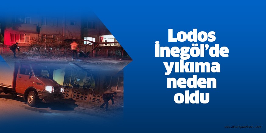 Lodos ağacı devirdi