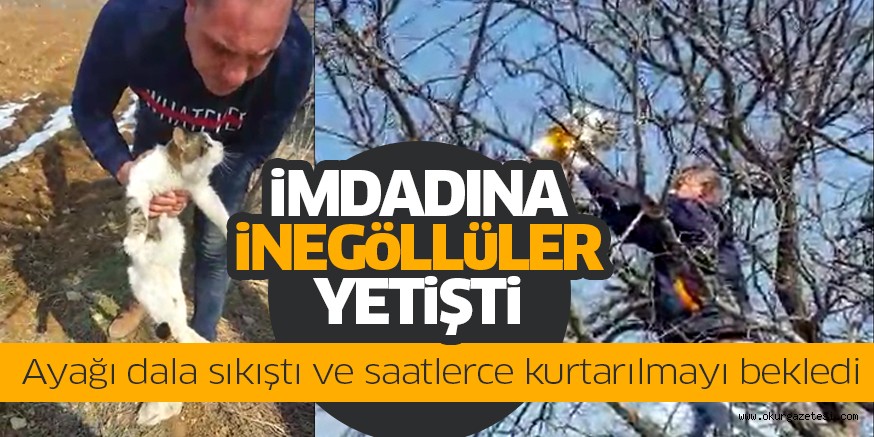 Saatlerce mahsur kalan kedi İnegöllü vatandaşlar tarafından kurtarıldı