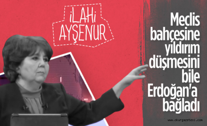 Ayşenur Arslan Meclis’e düşen yıldırımı Erdoğan’a bağladı