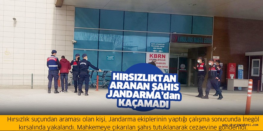 Hırsızlıktan aranan şahıs Jandarma’dan kaçamadı