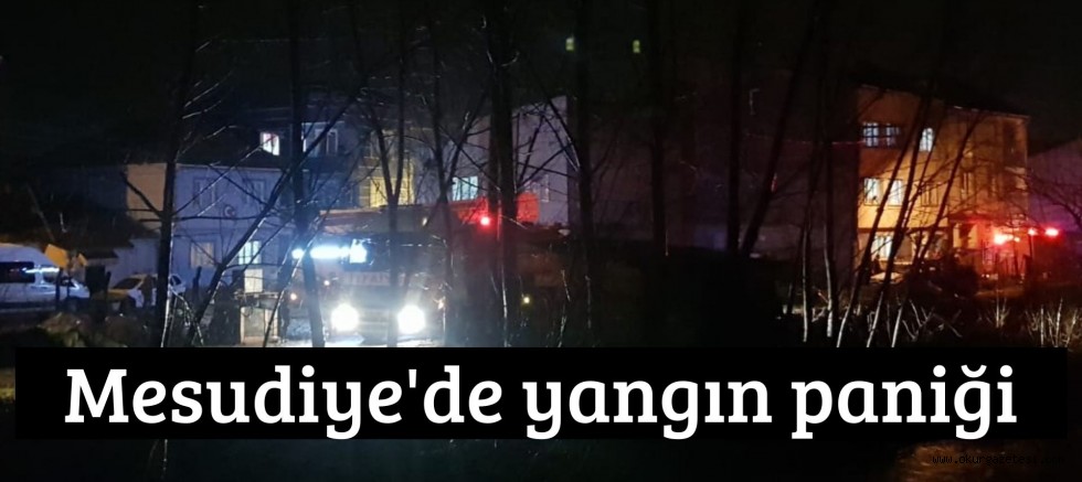 Mesudiye’de yangın paniği