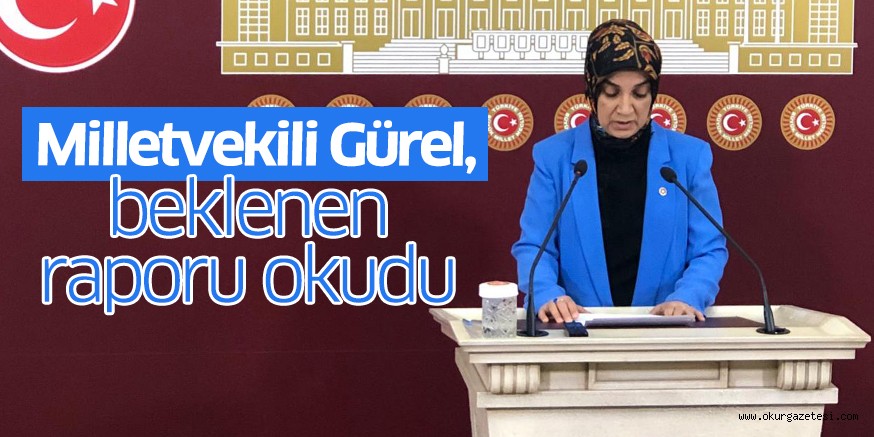 Milletvekili Gürel, beklenen raporu okudu